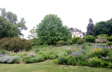 Audio-Führung Ingrid Noll | © TI Weinheim