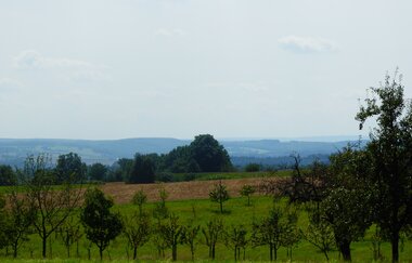Auf alten Mönchspfaden rund um das Kloster Lobenfeld | © Landratsamt Rhein-Neckar-Kreis