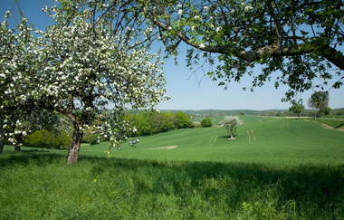 Auf alten Mönchspfaden rund um das Kloster Lobenfeld | © Landratsamt Rhein-Neckar-Kreis