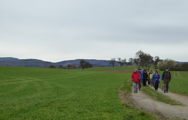 Auf alten Mönchspfaden rund um das Kloster Lobenfeld | © Landratsamt Rhein-Neckar-Kreis