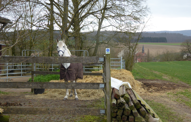 Auf alten Mönchspfaden rund um das Kloster Lobenfeld | © Landratsamt Rhein-Neckar-Kreis
