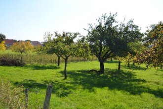 Auf dem Steinichweg in Ebenheid | © Stadt Freudenberg