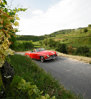 Badische Weinstraße | Weinerlebnis zwischen Schwarzwald und Rhein (Hauptroute) | © Schwarzwald Tourismus GmbH