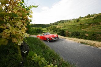 Badische Weinstraße | Weinerlebnis zwischen Schwarzwald und Rhein (Hauptroute) | © Schwarzwald Tourismus GmbH