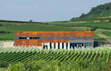 Badische Weinstraße | Weinerlebnis zwischen Schwarzwald und Rhein (Hauptroute) | © Schwarzwald Tourismus GmbH