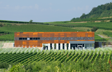 Badische Weinstraße | Weinerlebnis zwischen Schwarzwald und Rhein (Hauptroute) | © Schwarzwald Tourismus GmbH