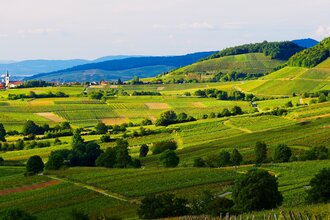 Badischer Weinradweg - Etappe 1: Markgräflerland | © Werbegemeinschaft Markgräflerland GmbH