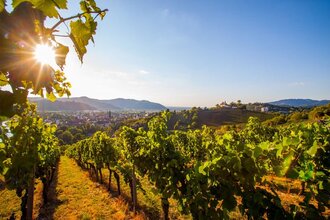 Badischer Weinradweg - Etappe 3: Breisgau | © Unbekannt