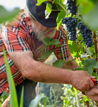 Badischer Weinradweg - Etappe 6: Kraichgau Süd | © Kraichgau-Stromberg Tourismus e.V.