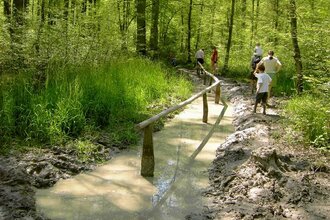 Barfußpfad Kohlplattenwald | © interne Aufnahme