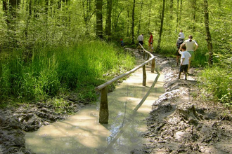 Barfußpfad Kohlplattenwald | © interne Aufnahme