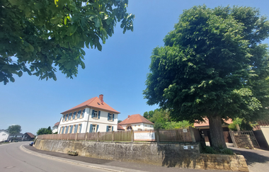 Bild von einem Baum in einem Hof | © Gemeinde Helmstadt-Bargen