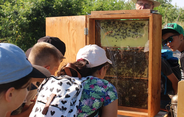 Benno Bauer auf der Spur | kindgerechter Lehrpfad in Brackenheim | © Neckar-Zaber-Tourismus e.V.