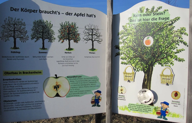 Benno Bauer auf der Spur | kindgerechter Lehrpfad in Brackenheim | © Neckar-Zaber-Tourismus e.V.