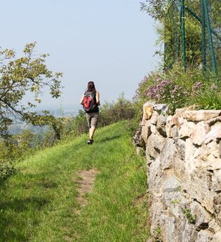 Eine Frau wandert auf einem grasbewachsend Pfad auf dem Blütenweg vorbei an einer Natursteinmauer | © Roland Robra