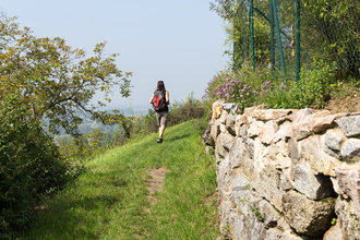 Eine Frau wandert auf einem grasbewachsend Pfad auf dem Blütenweg vorbei an einer Natursteinmauer | © Roland Robra