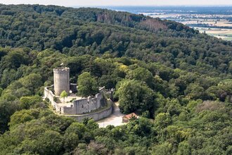 Luftaufnahme vom Auerbacher Schloss | © Thomas Fischer