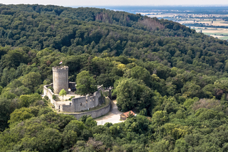 Luftaufnahme vom Auerbacher Schloss | © Thomas Fischer