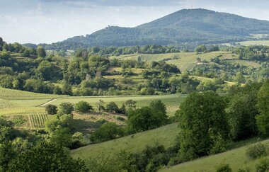 Bergsträßer Burgensteig - Etappe 3: von Bensheim-Auerbach nach Heppenheim | © Roland Robra