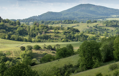 Bergsträßer Burgensteig - Etappe 3: von Bensheim-Auerbach nach Heppenheim | © Roland Robra