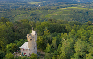 Bergsträßer Burgensteig - Etappe 3: von Bensheim-Auerbach nach Heppenheim | © Thomas Fischer