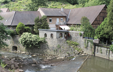 Bergsträßer Burgensteig - Etappe 5: von Hemsbach nach Weinheim | © Dorith Floesser