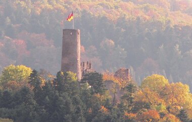 Bergsträßer Burgensteig - Etappe 6: von Weinheim nach Hirschberg-Großsachsen | © TSB / Tourismus Service Bergstrasse Burgensteig Weinheim