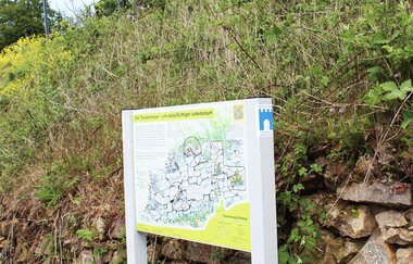 Bergsträßer Burgensteig - Etappe 6: von Weinheim nach Hirschberg-Großsachsen | © Brigitte Zimmermann Petrullat
