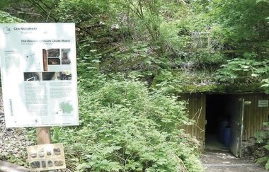 Bergsträßer Burgensteig - Etappe 6: von Weinheim nach Hirschberg-Großsachsen | © TSB
