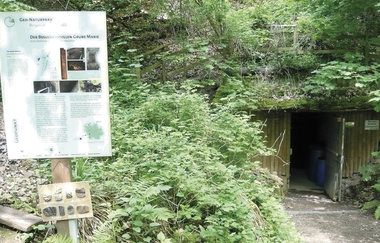 Bergsträßer Burgensteig - Etappe 6: von Weinheim nach Hirschberg-Großsachsen | © TSB