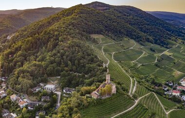 Bergsträßer Burgensteig - Etappe 7: von Hirschberg-Großsachsen nach Schriesheim | © Thomas Fischer