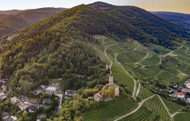 Bergsträßer Burgensteig - Etappe 7: von Hirschberg-Großsachsen nach Schriesheim | © Thomas Fischer
