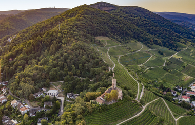 Bergsträßer Burgensteig - Etappe 7: von Hirschberg-Großsachsen nach Schriesheim | © Thomas Fischer