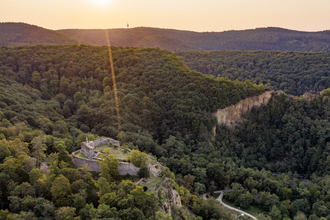 Bergsträßer Burgensteig - Etappe 9: von Dossenheim nach Heidelberg | © Thomas Fischer
