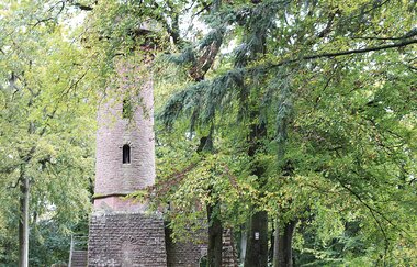 Bergsträßer Burgensteig - Etappe 9: von Dossenheim nach Heidelberg | © TSB