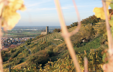 Bergsträßer Burgensteig