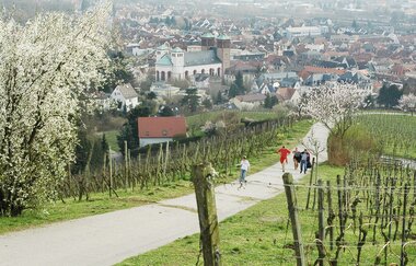 Bergsträßer Burgensteig