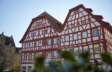 Bikepacking-Overnighter: Gravelbike-Tour von Heidelberg nach Pforzheim - Etappe 1 (Heidelberg - Eppingen) | © Land der 1000 Hügel - Kraichgau-Stromberg