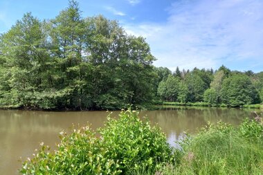Blick über den Haspelsee - mit baumbestandener Insel und mit Büschen bewachsenem Seeufer