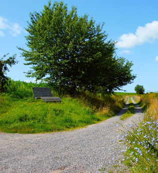 Biodiversitätspfad | Neudenau | HeilbronnerLand | © Stadtverwaltung Neudenau