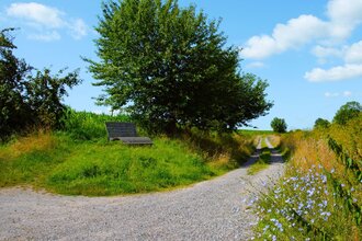 Biodiversitätspfad | Neudenau | HeilbronnerLand | © Stadtverwaltung Neudenau