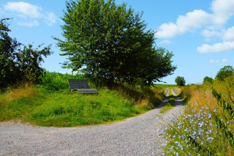 Biodiversitätspfad | Neudenau | HeilbronnerLand | © Stadtverwaltung Neudenau