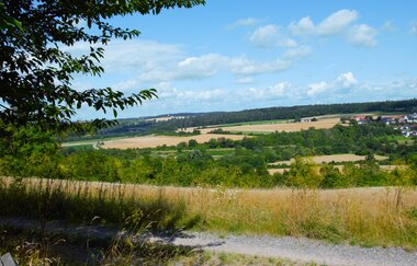 Biodiversitätspfad | Neudenau | HeilbronnerLand | © Stadtverwaltung Neudenau