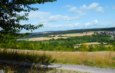 Biodiversitätspfad | Neudenau | HeilbronnerLand | © Stadtverwaltung Neudenau