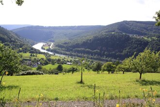 Bocksberg-Rundweg | © Stadt Eberbach