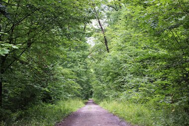 © Unbekannt