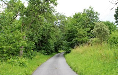 Bössinger Wald-Trail | © Unbekannt