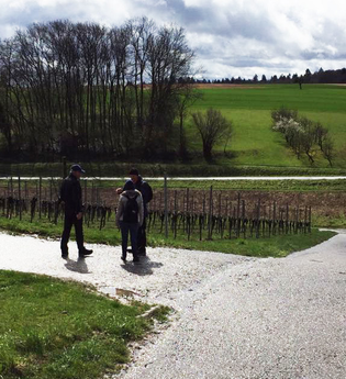 BR10 - Helmsheimer Rundweg zur schönen Aussicht | © BTMV GmbH
