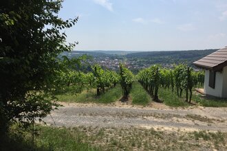 BR12 - Obergrombacher Burgweg | © BTMV GmbH