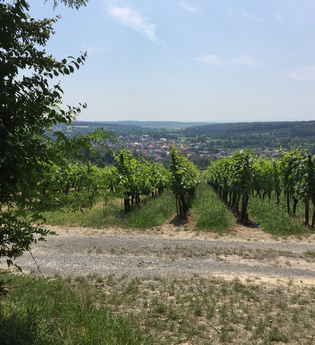 BR12 - Obergrombacher Burgweg | © BTMV GmbH